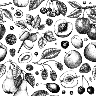 Berry and fruit tree background in color. Hand drawn cherry, plum, apple, peach, apricot, raspberry, strawberry in sketch style. Healthy food seamless pattern in vintage style.